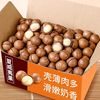 Hawaii wholesale new goods Bagged cream nut Dry Fruits leisure time snacks bulk Special purchases for the Spring Festival factory wholesale
